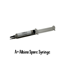 A+ Albino 10cc Spore Syringe - SS01