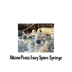 Albino Penis Envy (APE) 10cc Spore Syringe - SS11