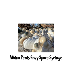 Albino Penis Envy (APE) 10cc Spore Syringe - SS11