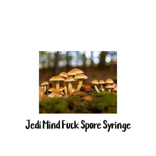 Jedi Mind Fuck 10cc Spore Syringe