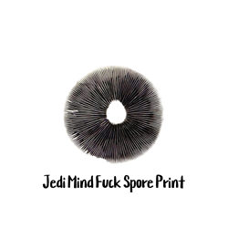 Jedi Mind Fuck Spore Print - SP03
