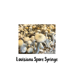 Louisiana 10cc Spore Syringe - SS16