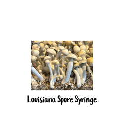 Louisiana 10cc Spore Syringe - SS16